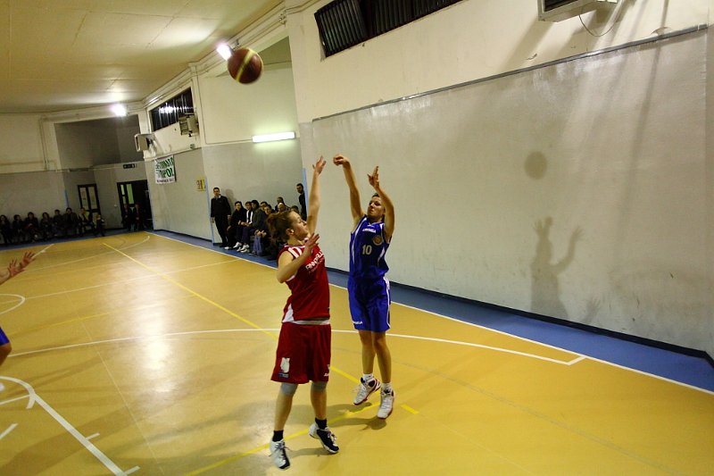 Basket 443029
